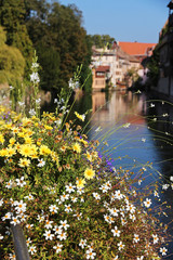 Fototapeta premium picturesque downtown Strasbourg with flowers in the foreground - Alsace Region - France