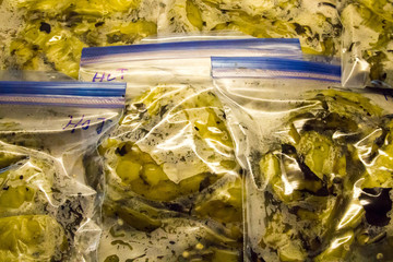 Roasted green chili in freezer bags, prepared to freeze