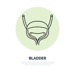Human organ symbol, bladder. Modern vector line icons of urology. Linear medical pictograms for clinic, hospital. Bladder pictogram. Bladder symbol.