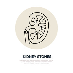Human organ symbol, kidney. Modern vector line icons of urology. Linear medical pictograms for clinic, hospital. Kidney pictogram. Kidney stones problem
