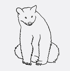 Bear wild animal mammal sketch, drawing. Good use for symbol, logo, web icon, mascot, or any design you want.