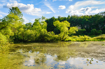 Jamestown Audubon Center and Sanctuary © Zack Frank