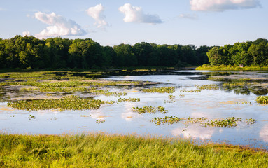 Jamestown Audubon Center and Sanctuary © Zack Frank
