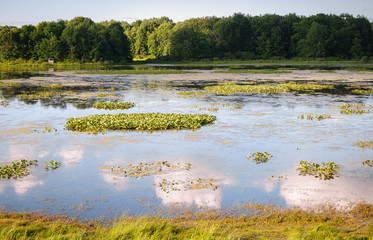 Jamestown Audubon Center and Sanctuary