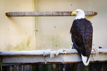 Jamestown Audubon Center and Sanctuary © Zack Frank