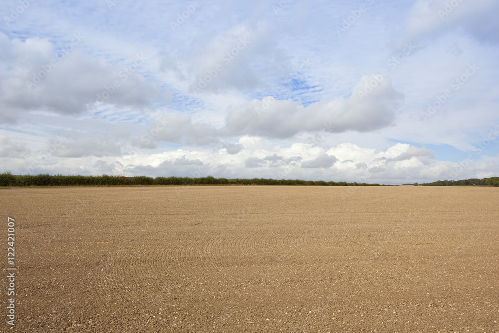 Sticker cultivated chalky soil in autumn