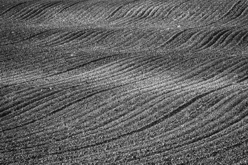 Tierras de cultivo de Aragon