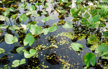 Jamestown Audubon Center and Sanctuary © Zack Frank
