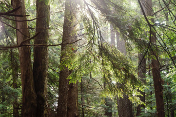 Jamestown Audubon Center and Sanctuary © Zack Frank