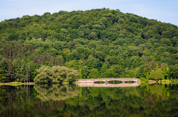 Fototapeta premium Allegany State Park