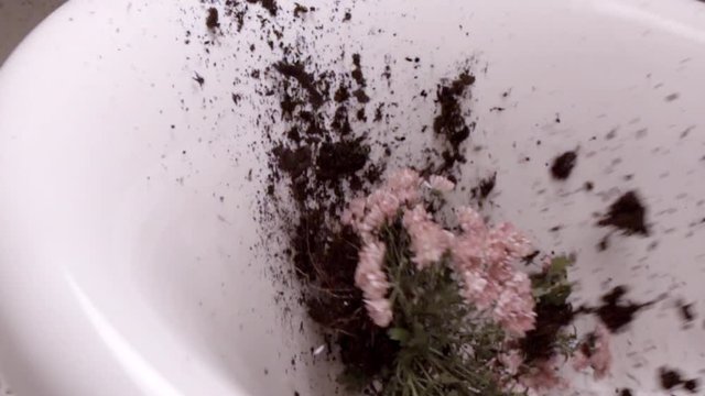 Crash test of the bath in slow motion