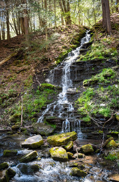 Allegany State Park