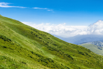 Naklejka premium Wonderful landscape of Ukrainian Carpathian mountains.