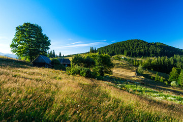 Fototapeta na wymiar Beautiful view of village in Ukrainian Carpathian mountains.
