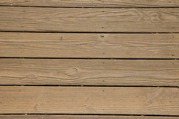 Wood plank walking path.