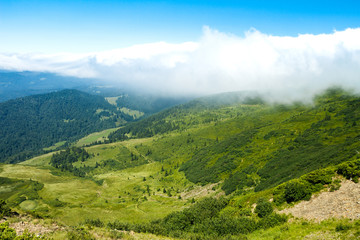 Obraz premium Wonderful landscape of Ukrainian Carpathian mountains.