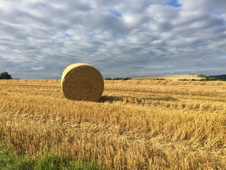 BALE OF STRAW ON REAPED FIELD IN LATE SUMMER