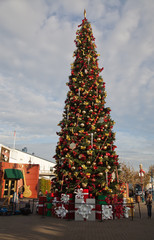 Fototapeta premium Christmas tree at Fishermans Wharf in San Francisco.