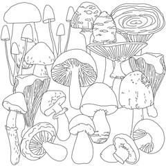 Page coloring for adults with mushrooms