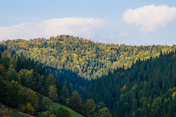 Carpathian mountains landscape