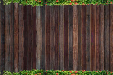 Spring green  flower spike over wooden background,Old wooden pattern wall for background