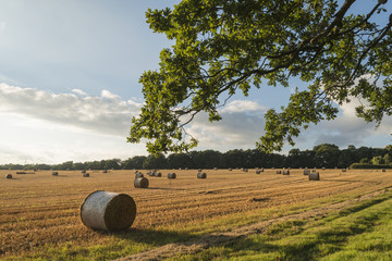 Beautiful countryside landscape image of hay bales in Summer fie