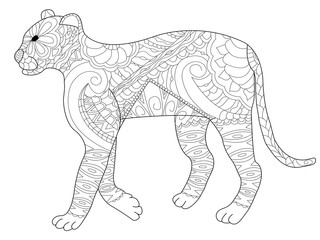Panther coloring vector for adults