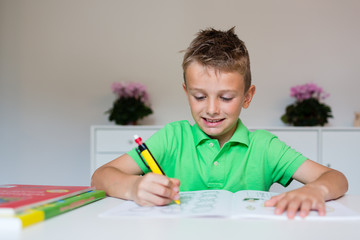 Happy boy with homework