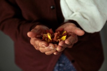 Flower on old woman hand.