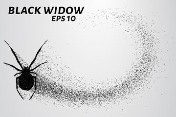 Black widow from the particles. The silhouette of the black widow of small circles. Vector illustration