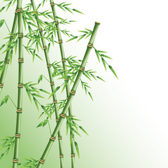 Bamboo trunk with leaves icon. Nature plant decoration and asia theme. Colorful design. Vector illustration