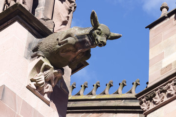 Wasserspeier am Freiburger Münster