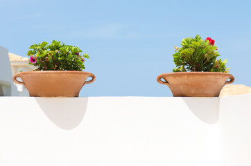 Two clay pots with flowers against blue sky