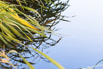 calm water