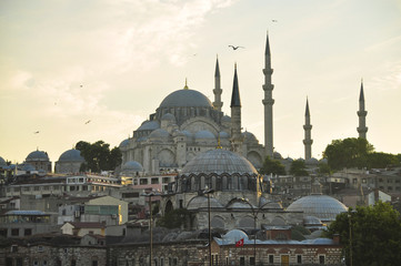 Fototapeta na wymiar Atardecer en la mezquita, Estambul