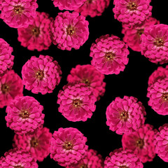 Beautiful background of pink flowers 