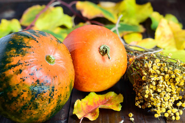 pumpkin 