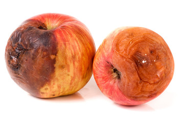 two rotten apple isolated on a white background