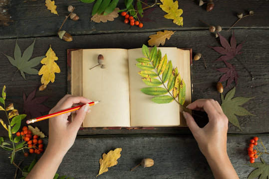Woman hands drawing or writing with pencil in vintage open notebook over wooden background. Autumn still life. Autumn leaves.