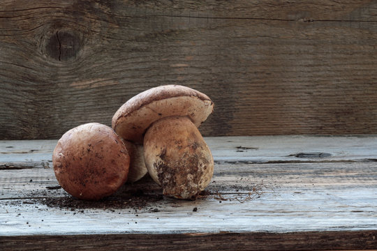 due funghi porcini su un tavolo di legno