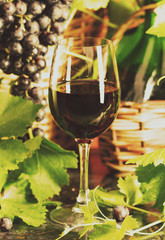 Glass of red wine and grapes with leaves