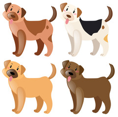 Four dogs with different fur colors