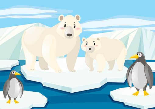 Polar bears and penguins on ice