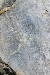 Petroglyphs. Altai mountains.