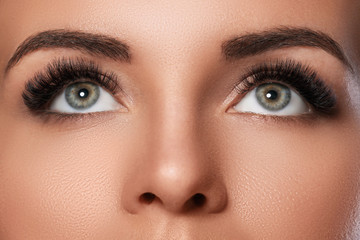 Female face with beautiful eyebrows and artificial eyelashes - obrazy, fototapety, plakaty