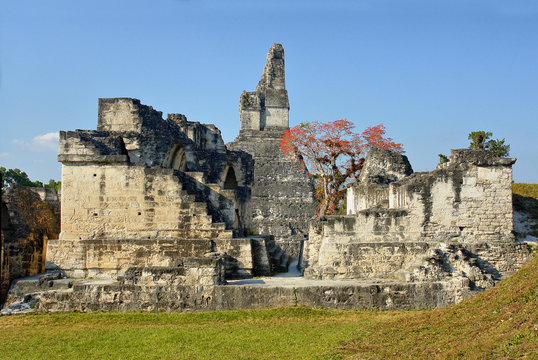 View of the ruins of Mayan ancient city of Tikal in Guatemala 
