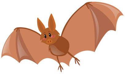 Cute bat flying on white background