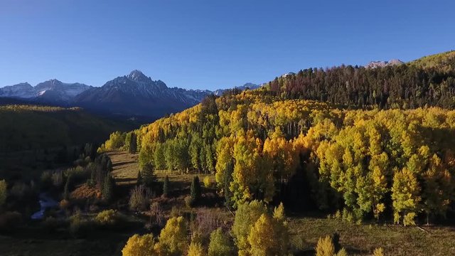 Fall Colors Video