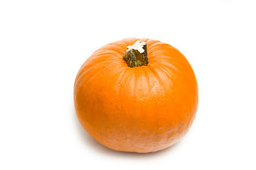 Fresh orange pumpkin on white background