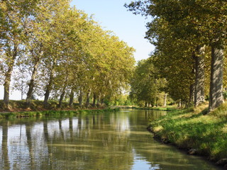 Fototapeta na wymiar Canal du Midi (France)